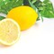 廃棄処分されていた‶レモンの果皮と花"に強い抗酸化作用が見つかりました！